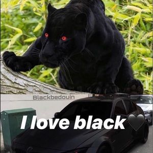 Meet your Posher, Godiva